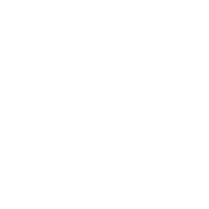 Petit