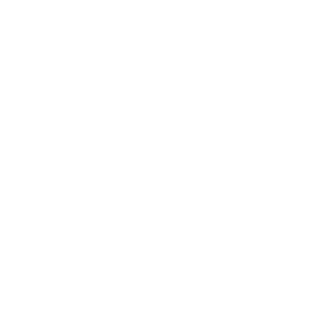 Plendi
