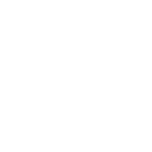 Vinci Construction